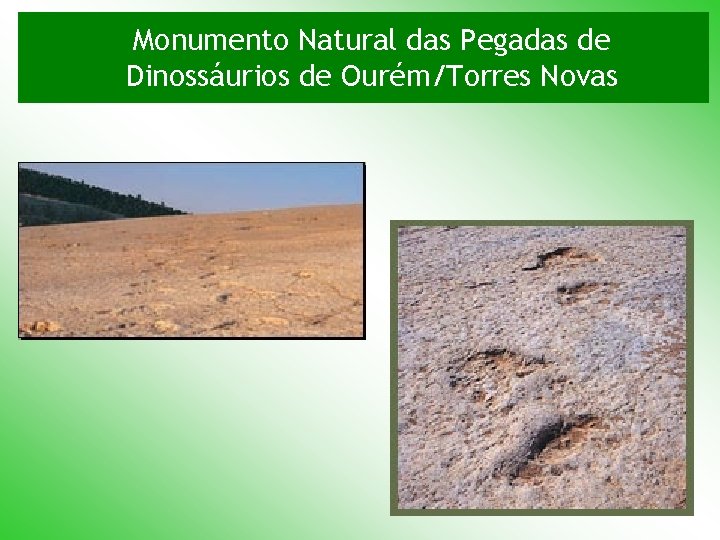 Monumento Natural das Pegadas de Dinossáurios de Ourém/Torres Novas 