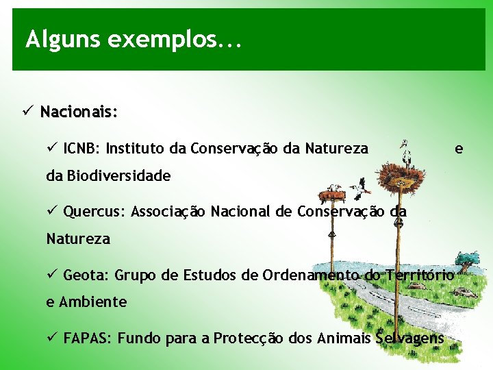 Alguns exemplos. . . ü Nacionais: ü ICNB: Instituto da Conservação da Natureza e