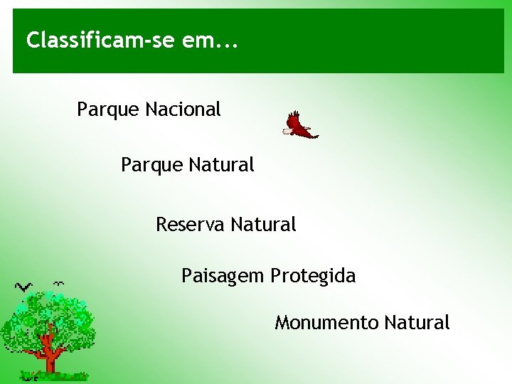 Classificam-se em. . . Parque Nacional Parque Natural Reserva Natural Paisagem Protegida Monumento Natural