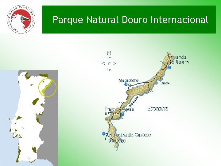 Parque Natural Douro Internacional 