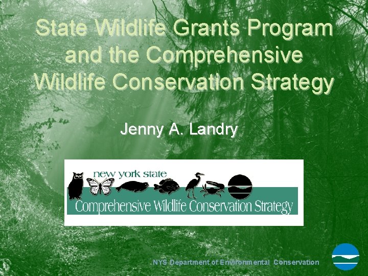 State Wildlife Grants Program and the Comprehensive Wildlife Conservation Strategy Jenny A. Landry NYS