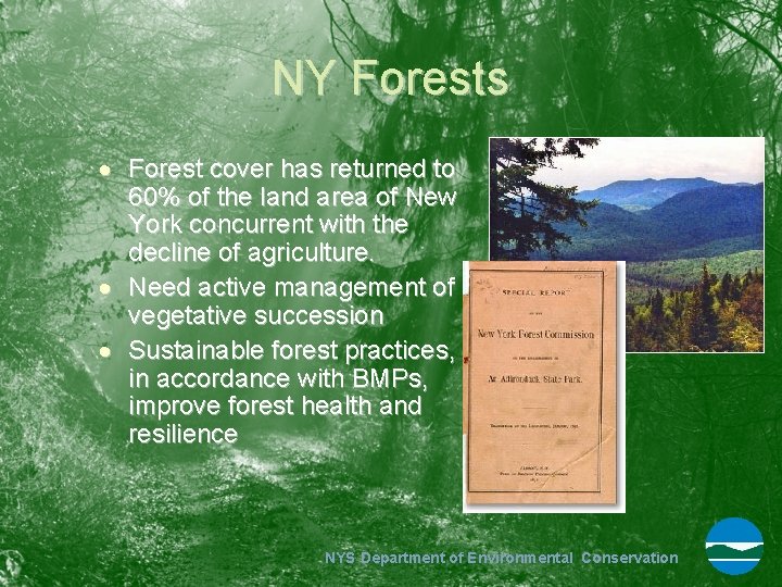 NY Forests Forest cover has returned to 60% of the land area of New