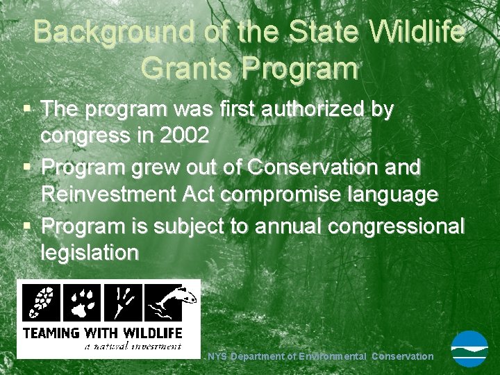 Background of the State Wildlife Grants Program § The program was first authorized by