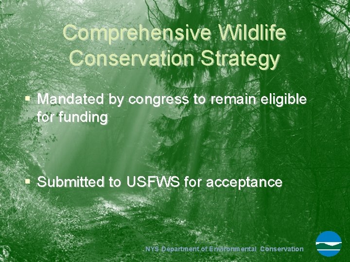 Comprehensive Wildlife Conservation Strategy § Mandated by congress to remain eligible for funding §