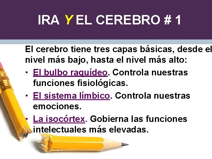 IRA Y EL CEREBRO # 1 El cerebro tiene tres capas básicas, desde el