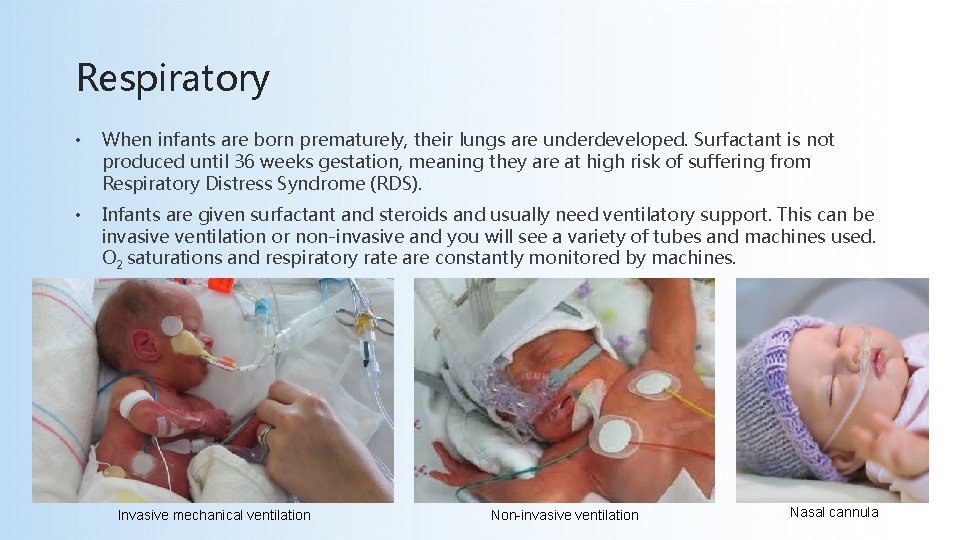 Respiratory • When infants are born prematurely, their lungs are underdeveloped. Surfactant is not