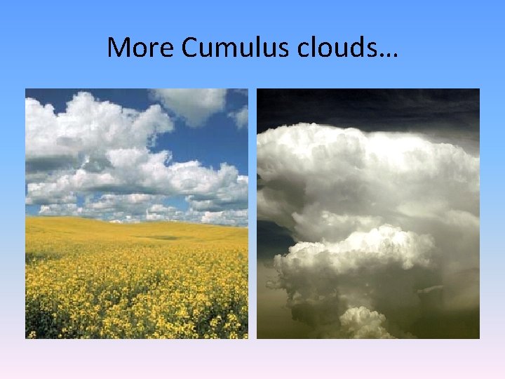More Cumulus clouds… 