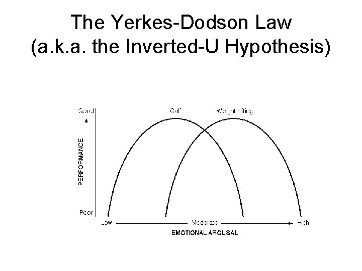 The Yerkes-Dodson Law (a. k. a. the Inverted-U Hypothesis) 