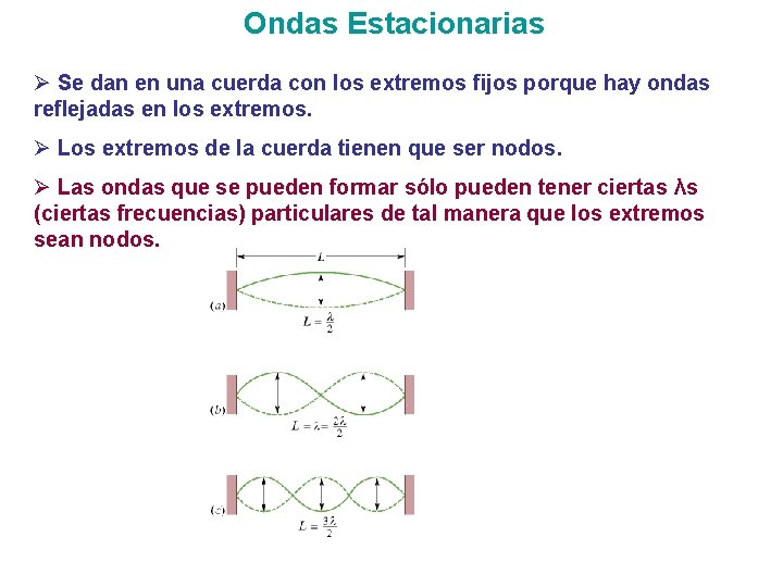 Ondas Estacionarias Ø Se dan en una cuerda con los extremos fijos porque hay