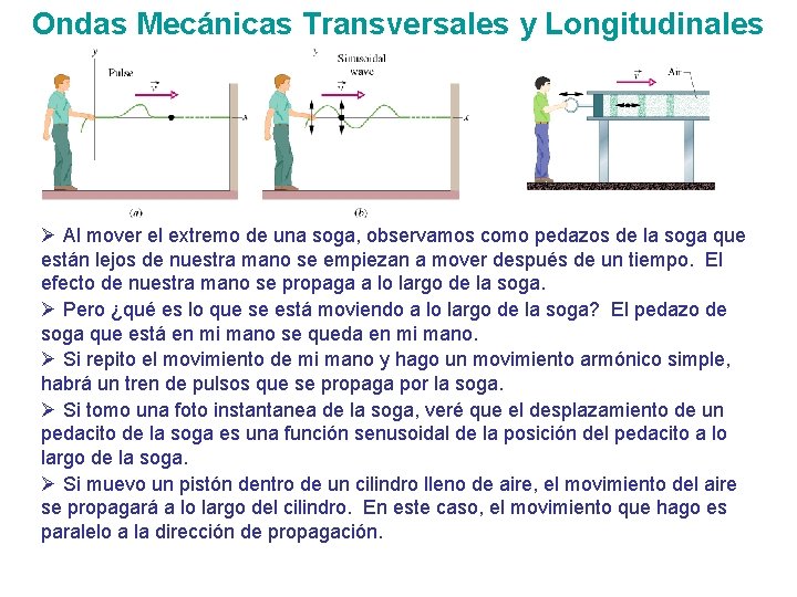 Ondas Mecánicas Transversales y Longitudinales Ø Al mover el extremo de una soga, observamos