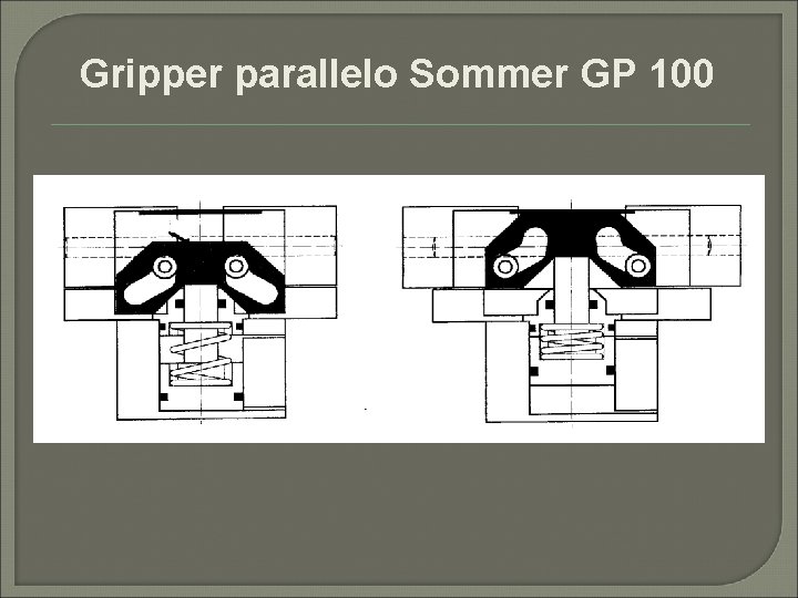 Gripper parallelo Sommer GP 100 