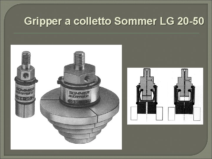 Gripper a colletto Sommer LG 20 -50 