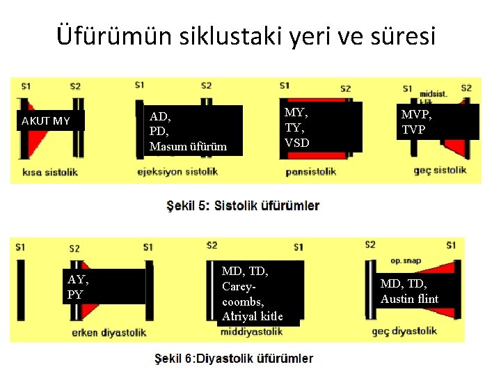 Üfürümün siklustaki yeri ve süresi AKUT MY AY, PY AD, PD, Masum üfürüm MD,