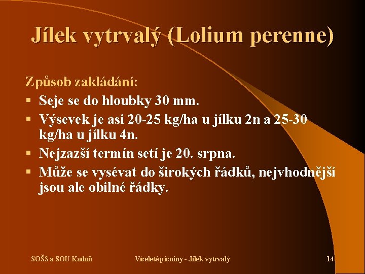 Jílek vytrvalý (Lolium perenne) Způsob zakládání: § Seje se do hloubky 30 mm. §