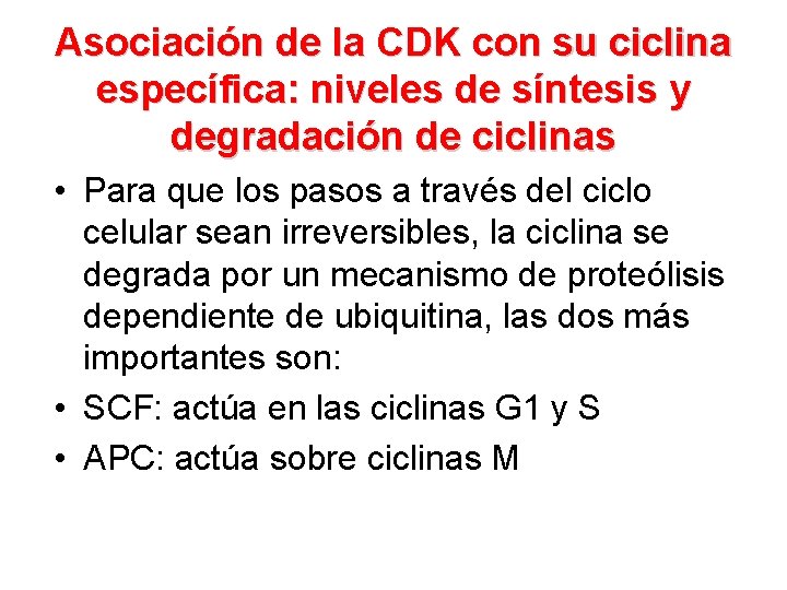 Asociación de la CDK con su ciclina específica: niveles de síntesis y degradación de