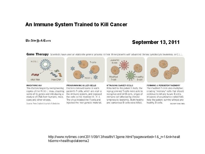 An Immune System Trained to Kill Cancer September 13, 2011 http: //www. nytimes. com/2011/09/13/health/13