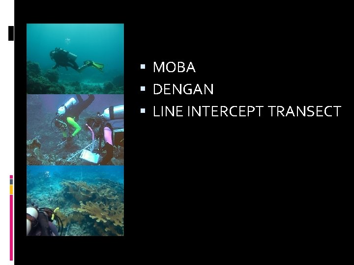  MOBA DENGAN LINE INTERCEPT TRANSECT 
