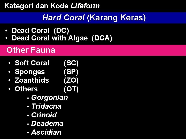 Kategori dan Kode Lifeform Hard Coral (Karang Keras) • Dead Coral (DC) • Dead