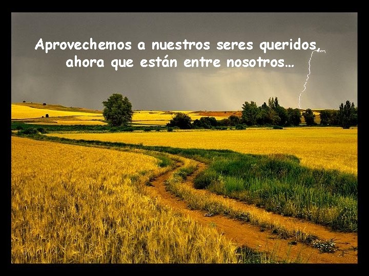 Aprovechemos a nuestros seres queridos, ahora que están entre nosotros… 