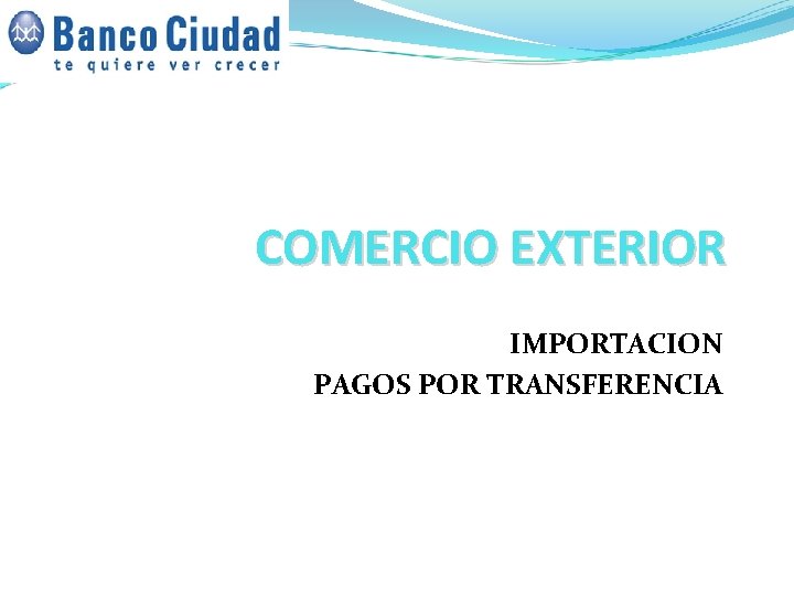 COMERCIO EXTERIOR IMPORTACION PAGOS POR TRANSFERENCIA COMERCIO EXTERIOR IMPORTACION PAGOS POR TRANSFERENCIA