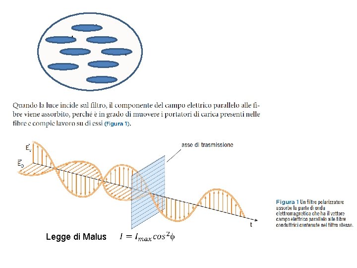 - + + - - + - + Legge di Malus + 
