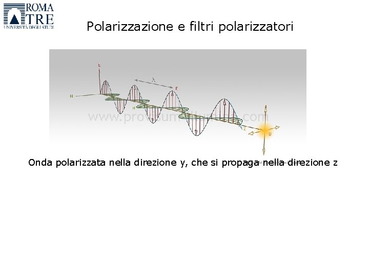 Polarizzazione e filtri polarizzatori Onda polarizzata nella direzione y, che si propaga nella direzione