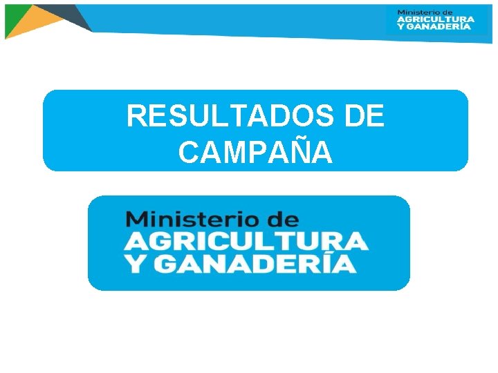 RESULTADOS DE CAMPAÑA 