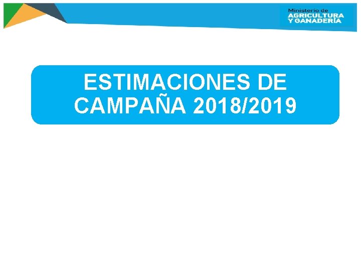 ESTIMACIONES DE CAMPAÑA 2018/2019 