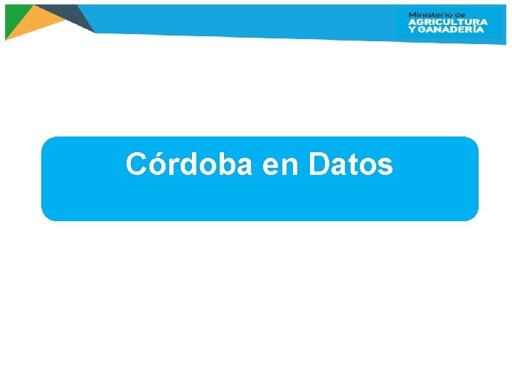 Córdoba en Datos 