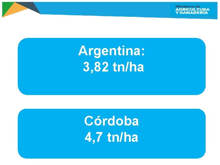 Argentina: 3, 82 tn/ha Córdoba 4, 7 tn/ha 