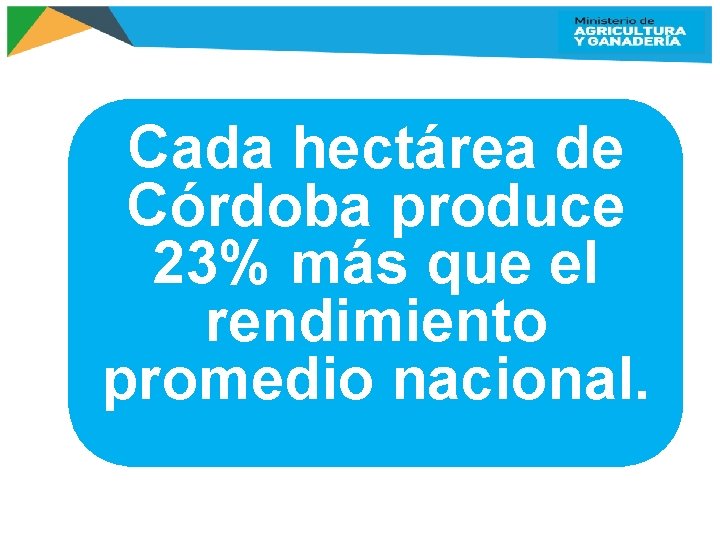 Cada hectárea de Córdoba produce 23% más que el rendimiento promedio nacional. 