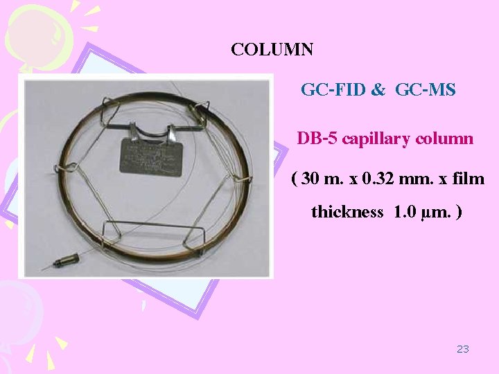 COLUMN GC-FID & GC-MS DB-5 capillary column ( 30 m. x 0. 32 mm.