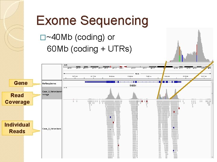 Exome Sequencing �~40 Mb (coding) or 60 Mb (coding + UTRs) Gene Read Coverage