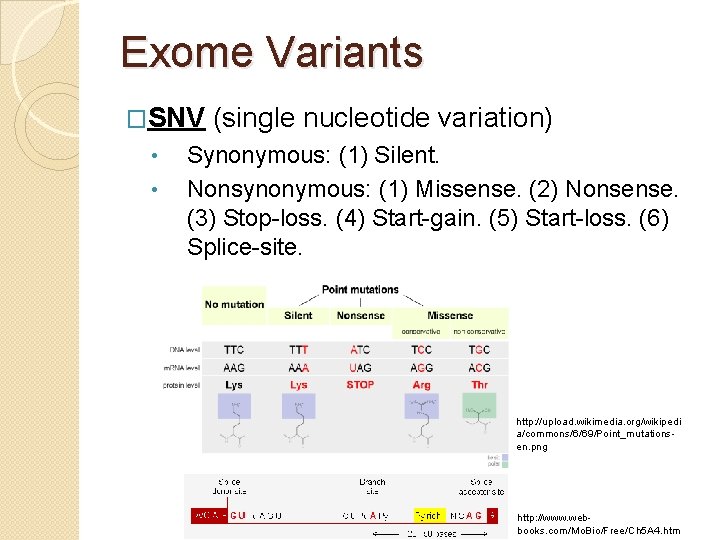 Exome Variants �SNV • • (single nucleotide variation) Synonymous: (1) Silent. Nonsynonymous: (1) Missense.