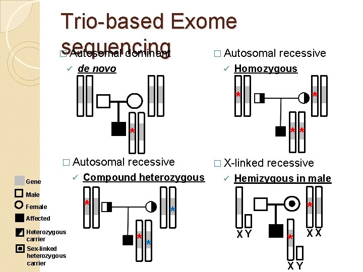 Trio-based Exome sequencing � Autosomal dominant � Autosomal recessive ü de novo ü Homozygous