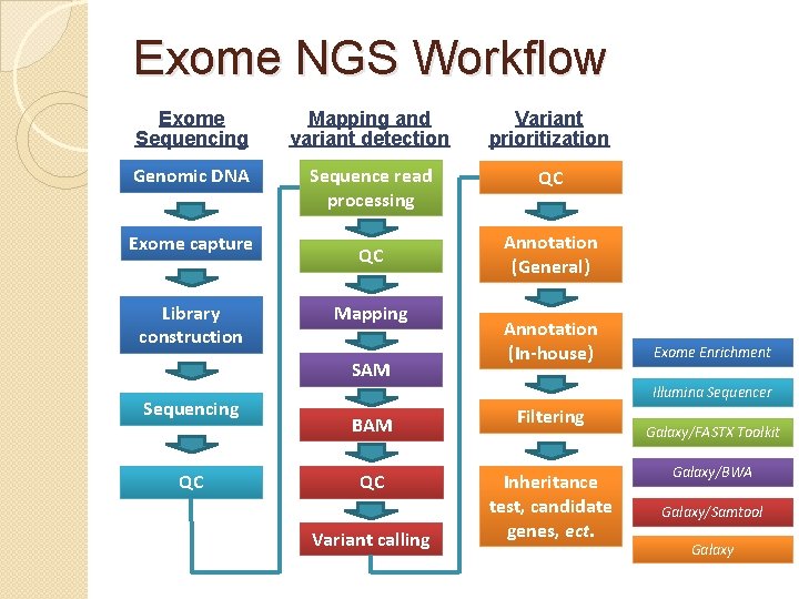 Exome NGS Workflow Exome Sequencing Mapping and variant detection Variant prioritization Genomic DNA Sequence