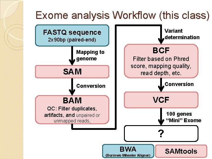 Exome analysis Workflow (this class) Variant determination FASTQ sequence 2 x 90 bp (paired-end)