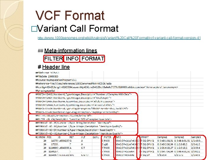 VCF Format �Variant Call Format http: //www. 1000 genomes. org/wiki/Analysis/Variant%20 Call%20 Format/vcf-variant-call-format-version-41 ## Meta-information