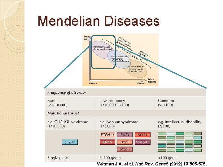 Mendelian Diseases Veltman J. A. et al. Nat. Rev. Genet. (2012) 13: 565 -575.