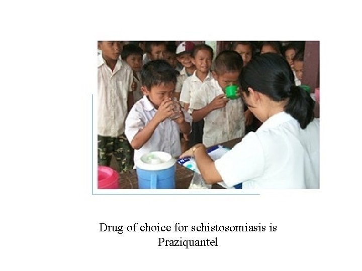 Drug of choice for schistosomiasis is Praziquantel Drug of choice for schistosomiasis is Praziquantel