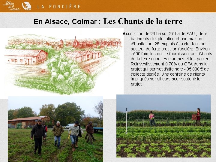 En Alsace, Colmar : Les Chants de la terre Acquisition de 23 ha sur