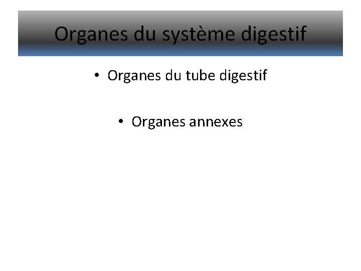 Organes du système digestif • Organes du tube digestif • Organes annexes 