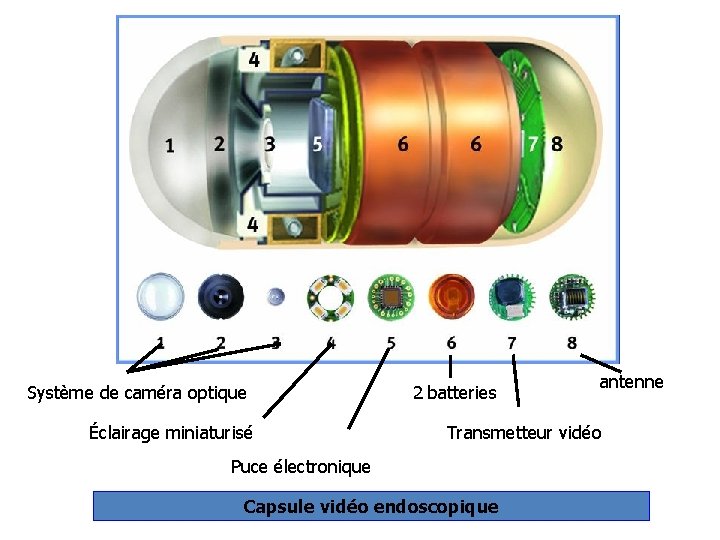 Système de caméra optique Éclairage miniaturisé 2 batteries antenne Transmetteur vidéo Puce électronique Capsule