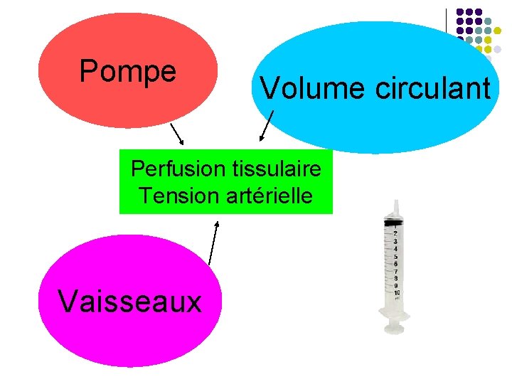 Pompe Volume circulant Perfusion tissulaire Tension artérielle Vaisseaux 