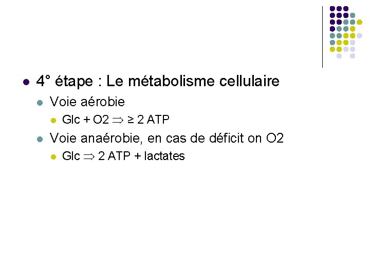  4° étape : Le métabolisme cellulaire Voie aérobie Glc + O 2 ≥