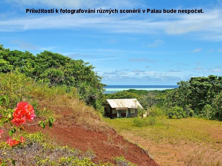 Příležitostí k fotografování různých scenérií v Palau bude nespočet. 