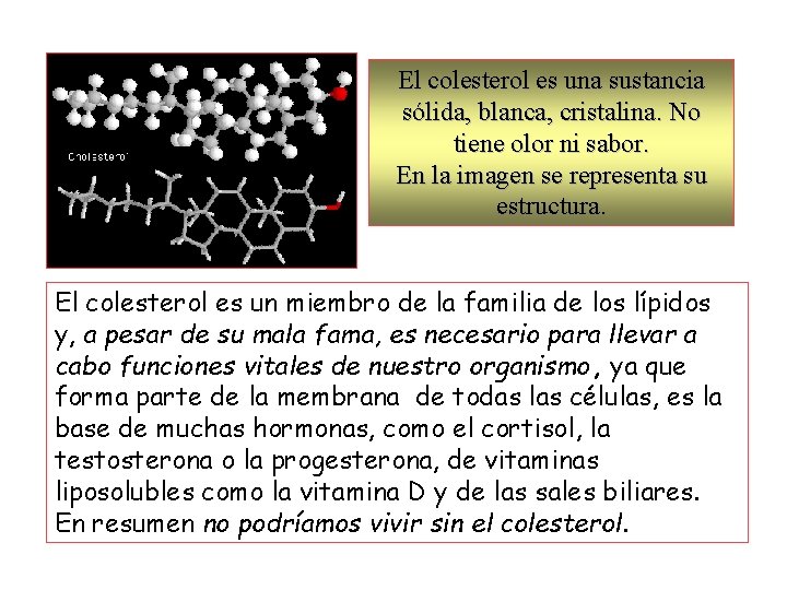 El colesterol es una sustancia sólida, blanca, cristalina. No tiene olor ni sabor. En