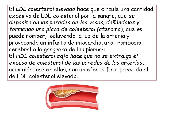 El LDL colesterol elevado hace que circule una cantidad excesiva de LDL colesterol por