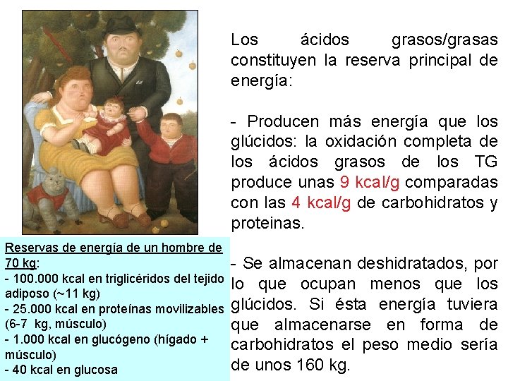 Los ácidos grasos/grasas constituyen la reserva principal de energía: - Producen más energía que