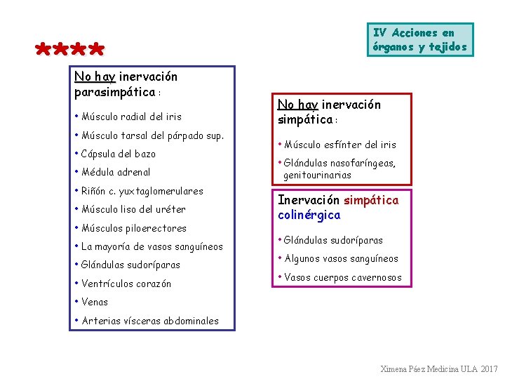 **** No hay inervación parasimpática : • Músculo radial del iris • Músculo tarsal